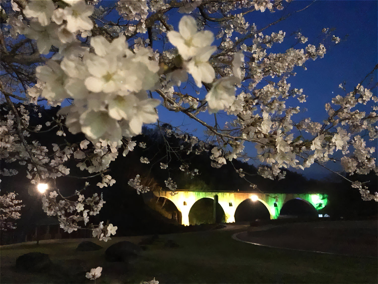 会社概要イメージ画像