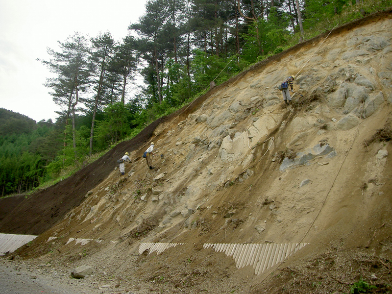 遠野市上郷町平野原2工区　画像4